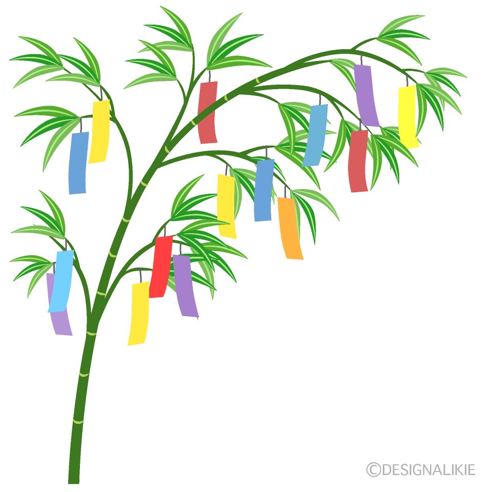 tuuu28283's tweet photo. My American brothers and sisters,

Today is Tanabata in Japan! 🎋✨

Tanabata is one of Japan’s traditional festivals.

On this day, we write our wishes on colorful paper strips and hang them on bamboo branches.

Do you have any traditions like this in America? https://t.co/AXBhdlsBC7