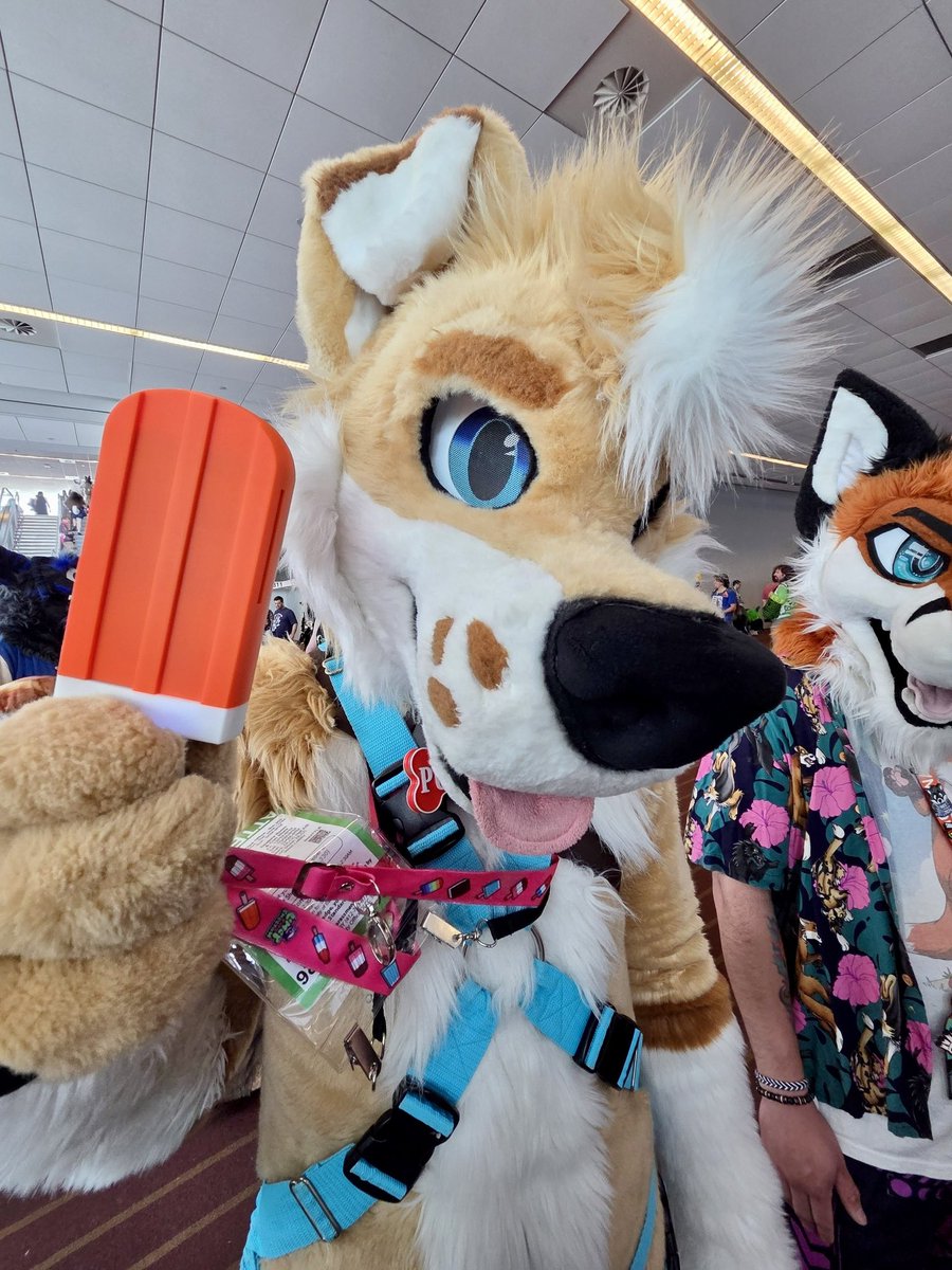 ReefRuff's tweet photo. AAAA AC WAS AMAZING!!!

Talked to and met so many new people and enjoyed every second of it. This con is always such a fun experience, thanks to everyone who made it so fun :D https://t.co/IEQM1rllVk
