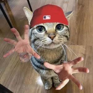 NuMetalHedgehog's tweet photo. Literally how Sonic looks doing the nu metal pose https://t.co/dhtHNffi66