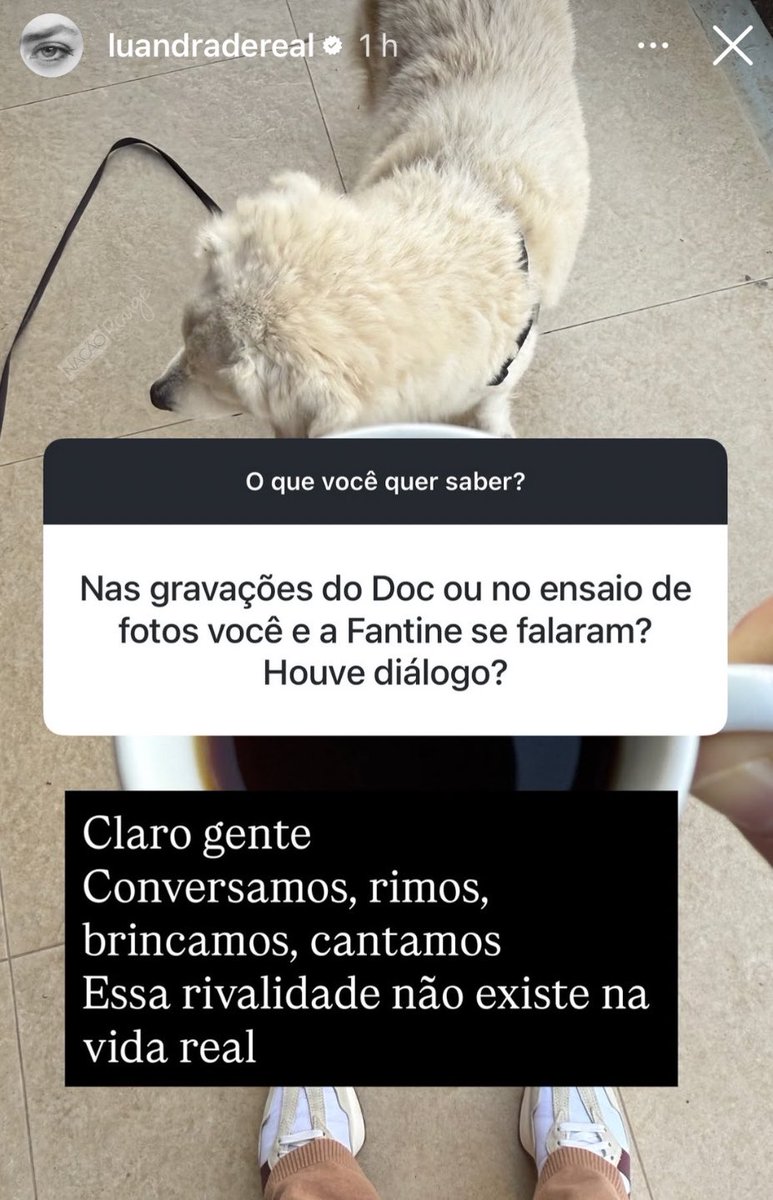 Nação Rouge tweet media