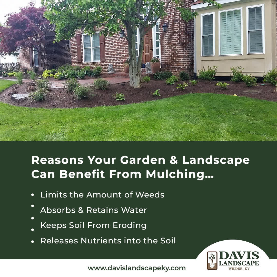 LandscapeDavis's tweet photo. Reasons Your Garden & Landscape Can Benefit From Mulching…
LEARN MORE... https://t.co/CF5vH22BFu
#slopes #erosion #landscaping #landscape #hardscapes #patios #walkways #driveways #retainingwalls #pavers #paverpatios #mulch #Mulching #nky #northernkentucky #cincinnati https://t.co/rNg3CtICYj
