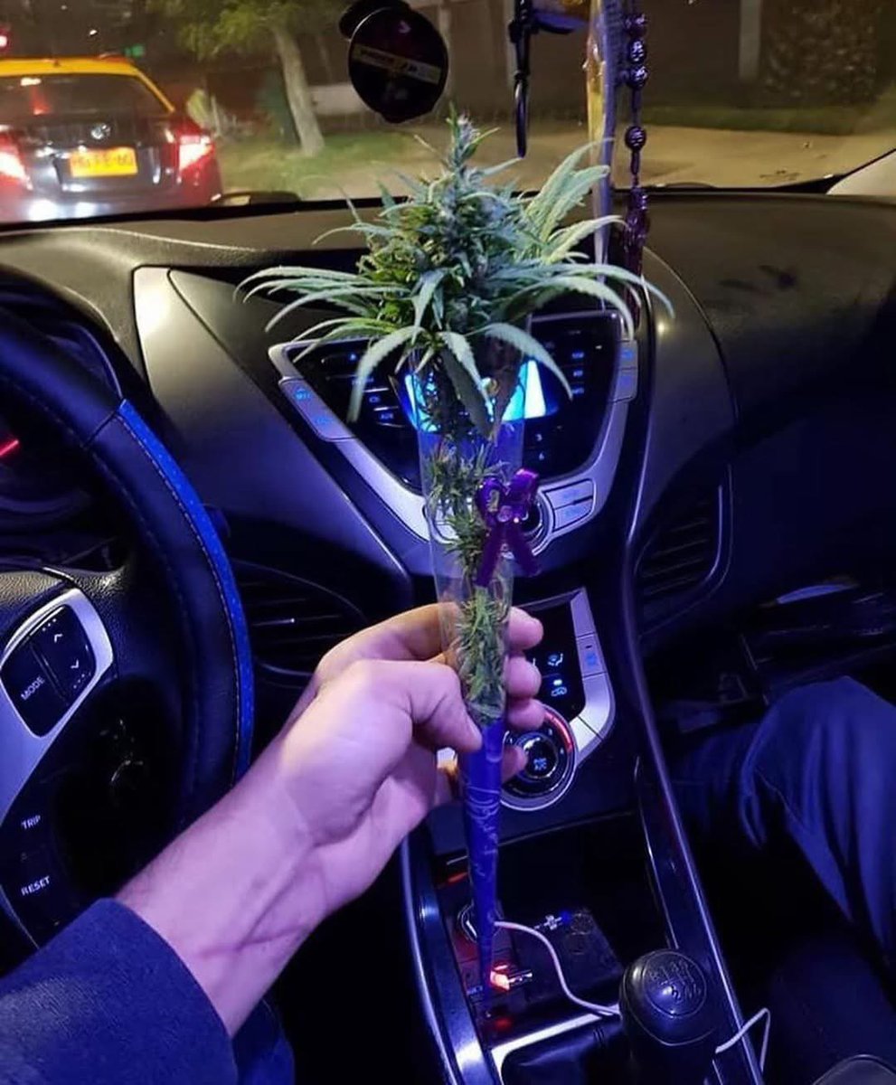 weedcoinOG's tweet photo. This is what I bring on first dates😉 https://t.co/SuMyxL2Jxz