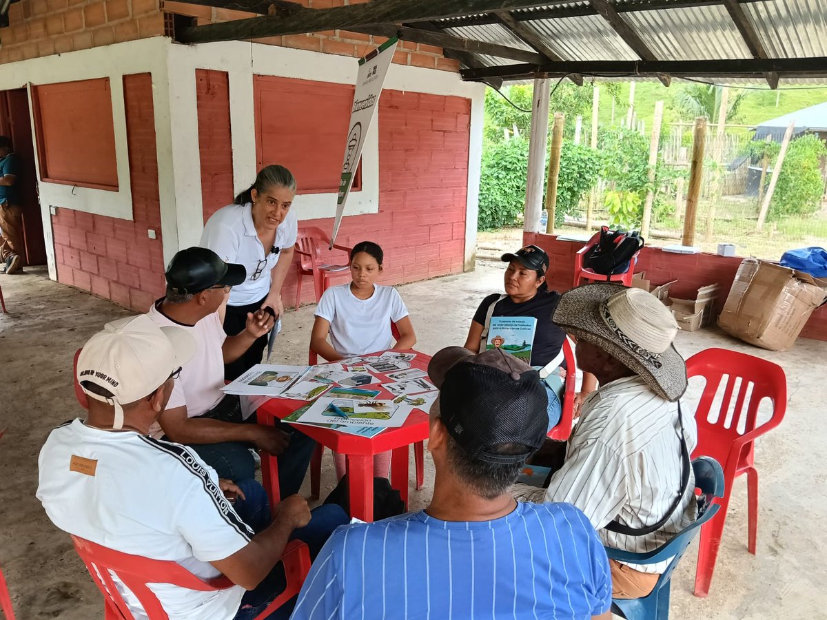 ProcultivosAndi's tweet photo. 🌱🍫 En Necoclí, Antioquia, capacitamos a 40 productores de #cacao en buenas prácticas para la protección de cultivos, gracias al trabajo articulado con @Luker_Chocolate, fortaleciendo un campo más productivo y sostenible. #DíaMundialDelCacao #AgriculturaSostenibleEnAcción #SPMF https://t.co/tund3NHUi6