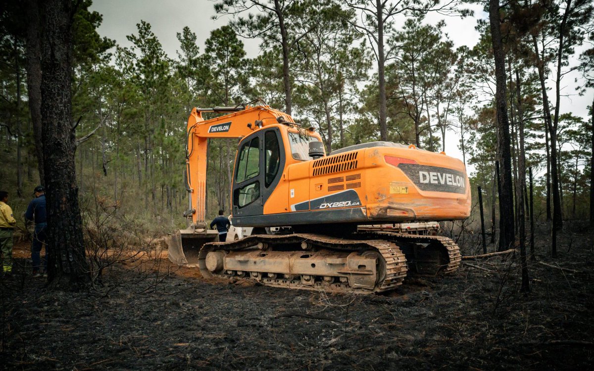 AmbienteRD's tweet photo. Actualización | El incendio forestal en la Sierra de Bahoruco se encuentra controlado en un 99 %. 🌲🚒

Nuestros bomberos forestales continúan las labores de liquidación y vigilancia para prevenir reactivaciones.

📰 NP: https://t.co/OAzx13oQUr https://t.co/45sHAE1J5s
