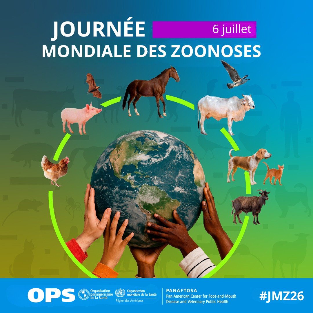 OPSOMSHaiti's tweet photo. 🗓️ 6 Juillet | Journée mondiale des zoonoses

Les #zoonoses sont des maladies qui passent des animaux aux humains, comme la rage, la grippe aviaire, ou l'anthrax. Elles peuvent être transmises par contact avec les animaux, des moustiques ou encore des aliments contaminés. https://t.co/BdziKNlfbN