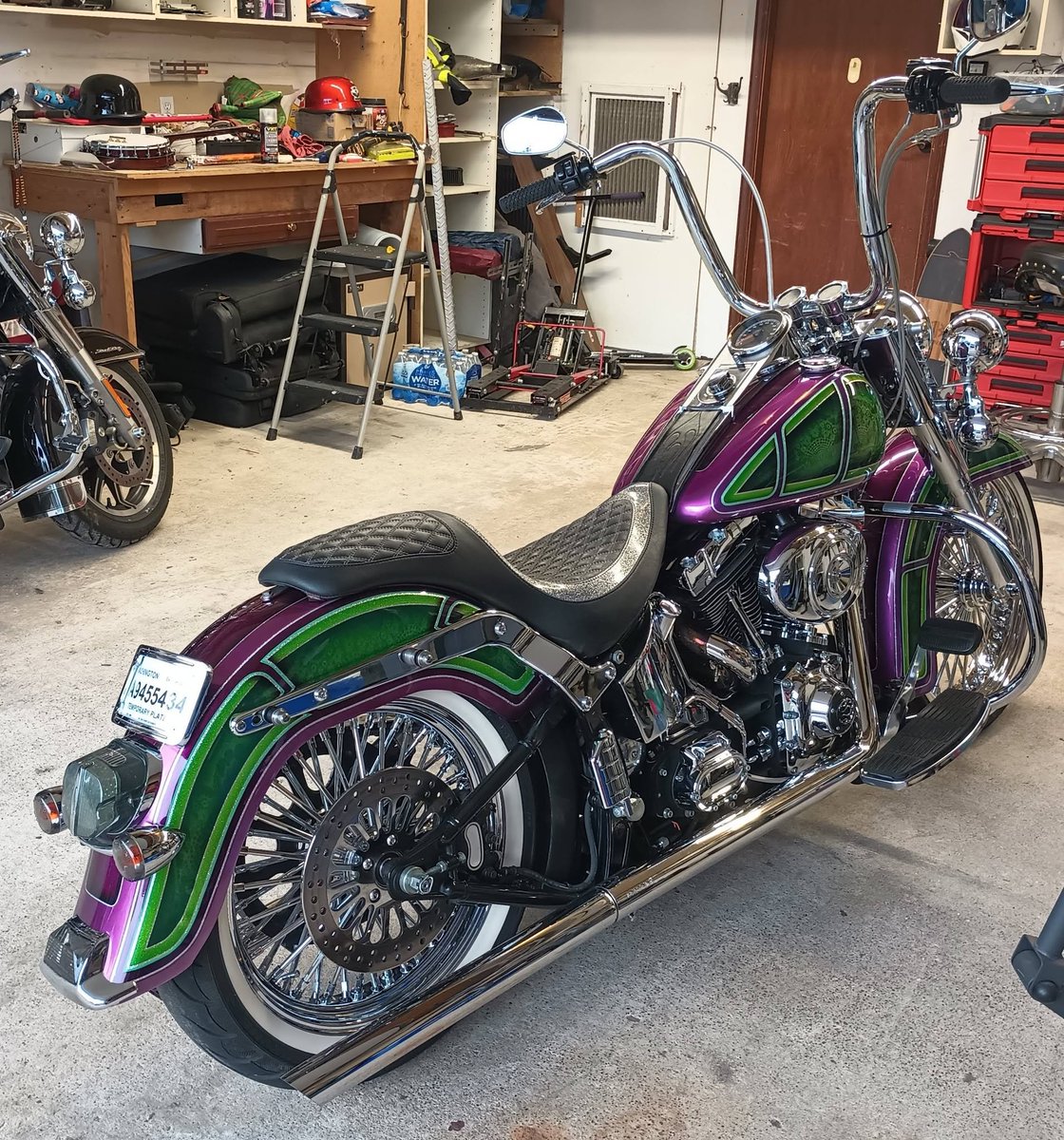 Giovanna1874111's tweet photo. opped this purple green monster in the garage!Full chrome, hand-laid graphics, and that quilted throne… this thing screams loud without saying a word. Would you ride this beast? #CustomBike #HarleyDavidson #MotorcycleLife #ChopperLife https://t.co/5z55UDCAZj