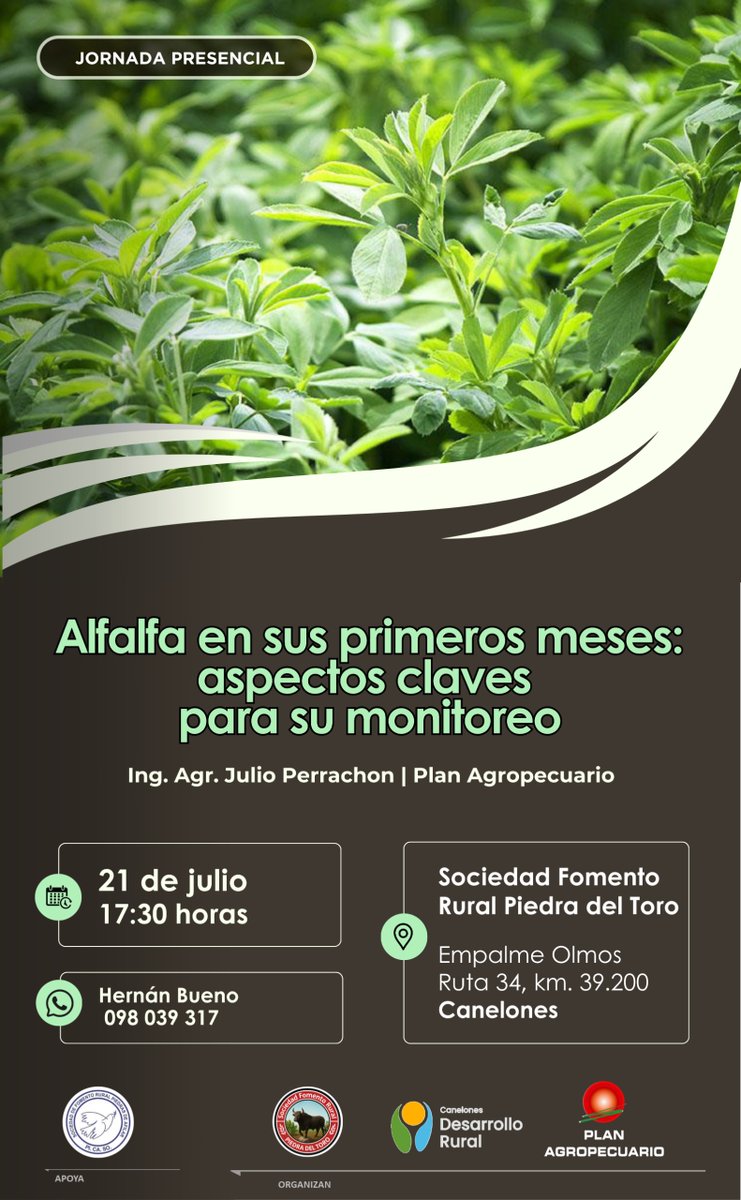 PlanAgro's tweet photo. ¡Para agendar!
🗓️21/7⏰17:30📍Empalme Olmos, Canelones
✔️Alfalfa en sus primeros meses
#AspectosClaves #Monotireo
🗣️Ing. Agr. Mag. Julio Perrachon
📌SFR Piedra del Toro
¡Te esperamos!
#SFRPdelT @IdCanelones #PICASO @HernanBuenoL #PlanAgro https://t.co/o5MYoTbZLW