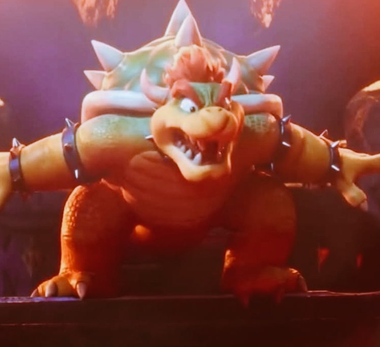 KING BOWSER. tweet media