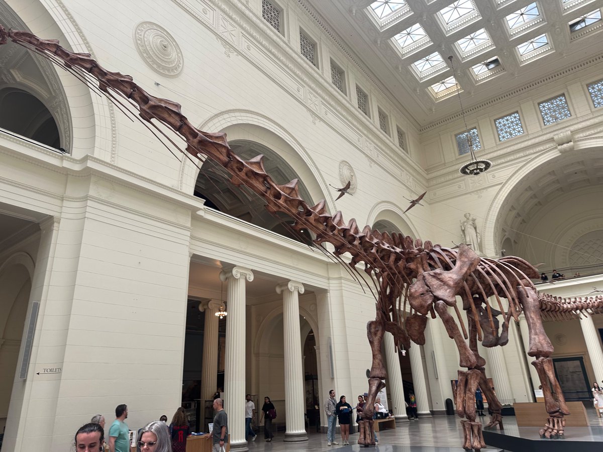 PresidentsVisit's tweet photo. One of the best atriums in America 🏛️🦖🐘🪨💎 #Chicago #FieldMuseum https://t.co/TOL99jedXT