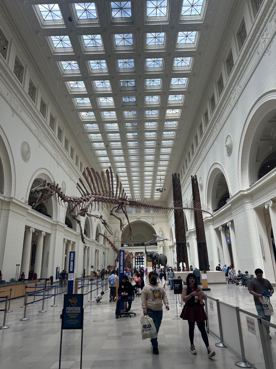 PresidentsVisit's tweet photo. One of the best atriums in America 🏛️🦖🐘🪨💎 #Chicago #FieldMuseum https://t.co/TOL99jedXT