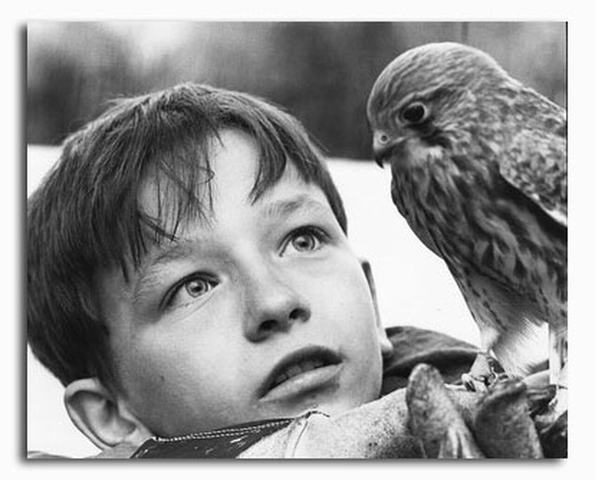 EnginArapoluu's tweet photo. Bir Ken Loach filmi izleyeyim dedim, pişman da olmadım.
1969 yapımı, dramatik bir hikâye.
Bana biraz 400 Darbe'yi, biraz da Alcatraz Kuşçusu'nu hatırlattı.
Çocuk olmak güzel şey...
Lakin herkesin çocukluğu aynı değil! https://t.co/hSeKDw9lSm