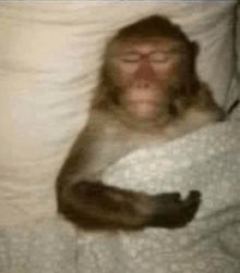 toasterkayzz's tweet photo. how i sleep knowing she’ll never be able to forget me https://t.co/1F3p7mswJI