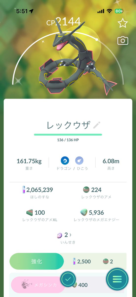masupazu's tweet photo. やっと来てくれたァ！
67体目でした、、沼りすぎでは？

#ポケモンGO https://t.co/1ppJjE9UJz