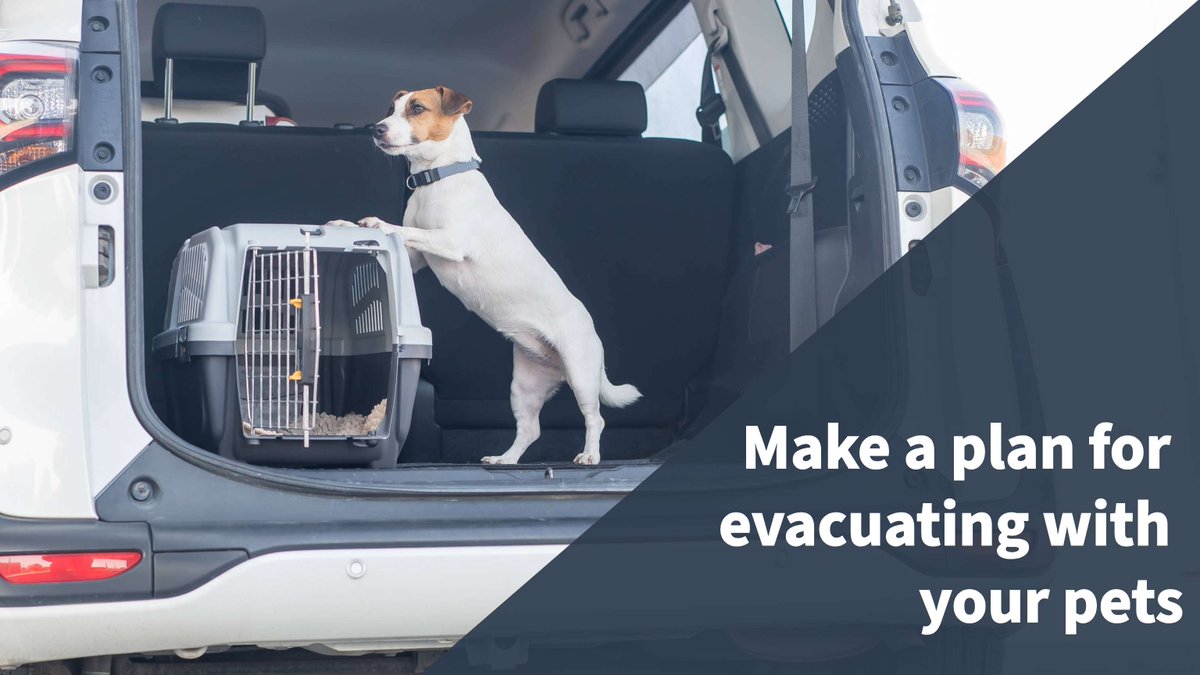 WashcoOregon's tweet photo. Animals left behind in a disaster can easily be lost or injured--always take them with you if evacuate. To help you prepare, make sure you have pet supplies in your go kit and get your pet familiar with their carrier in case you need to evacuate with them quickly. https://t.co/1rgy9G2CWo