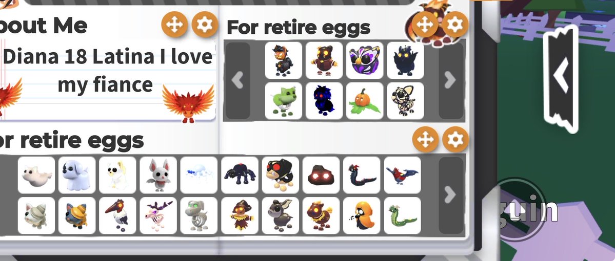 LookingItems's tweet photo. Trading retire eggs for any of this also looking for one more patchy bear #adoptme #adoptmetrading https://t.co/Ov5fQhYYMe