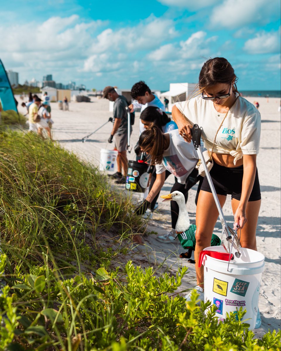 CleanMiamiBeach tweet picture