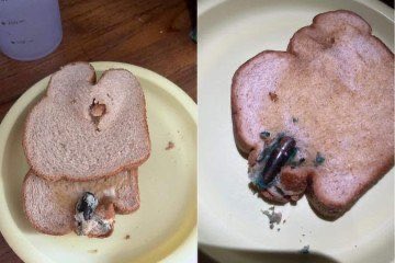 oluscarelli's tweet photo. @problemarcio Pão de CÚrioca https://t.co/PpdHeZwnL5