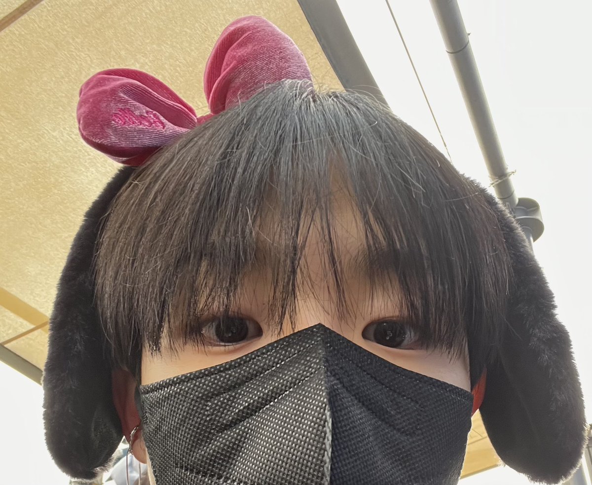 gooodisis's tweet photo. 넌강아진데.......... https://t.co/XZ7I7UeXlQ