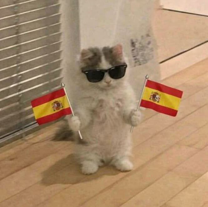 Estelle28_'s tweet photo. 🇪🇸❤️ https://t.co/c8w6S4TDWS