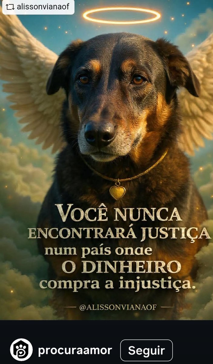Daianevcastro's tweet photo. https://t.co/lCKXurnxFz

Abaixo assinado pela instauração imediata da CPI do Orelha.
Bora assinar
Bora compartilhar.
Não podemos desistir 🚨📢🐾

#justiçapoeorelha
#cpidoorelha https://t.co/z5ObsbU1dp