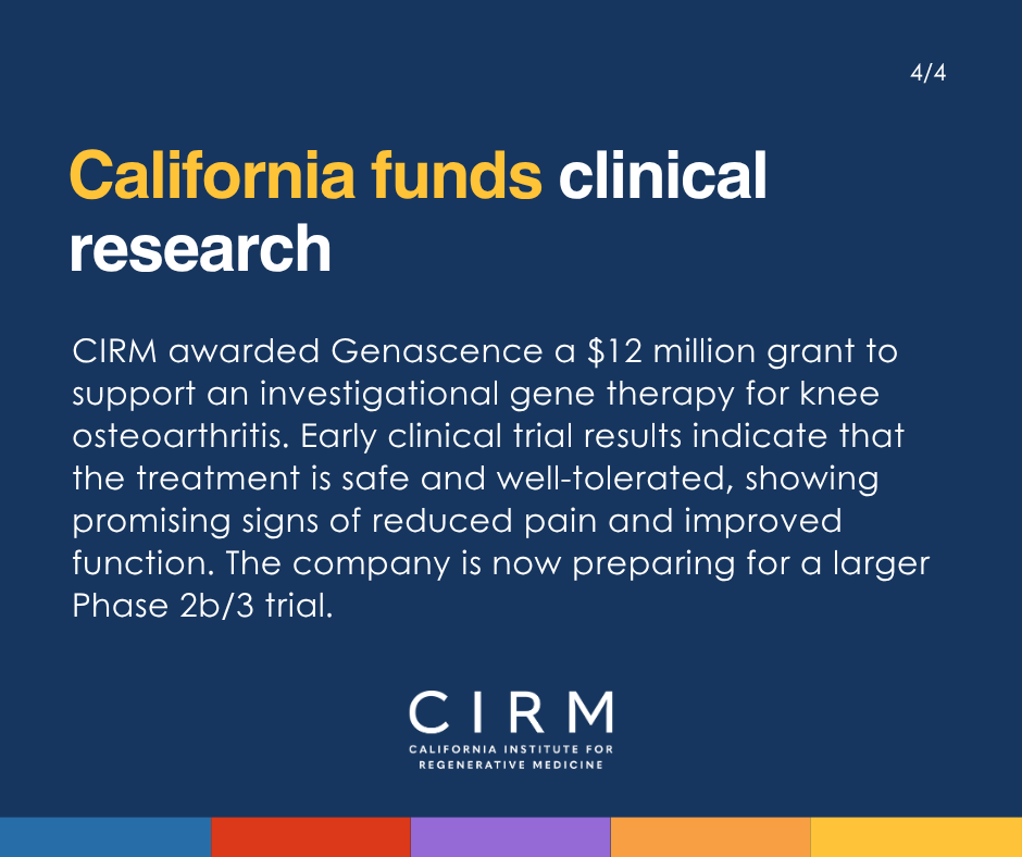 CIRMnews's tweet photo. 3M+ Californians live with knee #osteoarthritis. With $12M from CIRM, @genascence is advancing investigational gene therapy GNSC-001, designed to reduce inflammation, pain, and cartilage damage. Early data are promising; a larger trial is next. Read more: https://t.co/JZCmUaRIq1 https://t.co/p2Kg3cX0tO