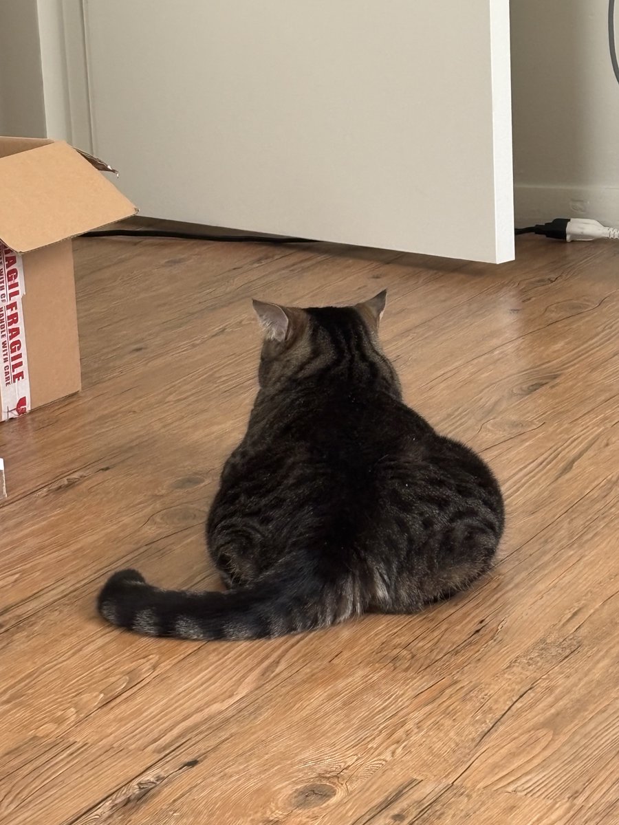 groundbeefpet's tweet photo. dudee your but.. https://t.co/M8gDaU0T65