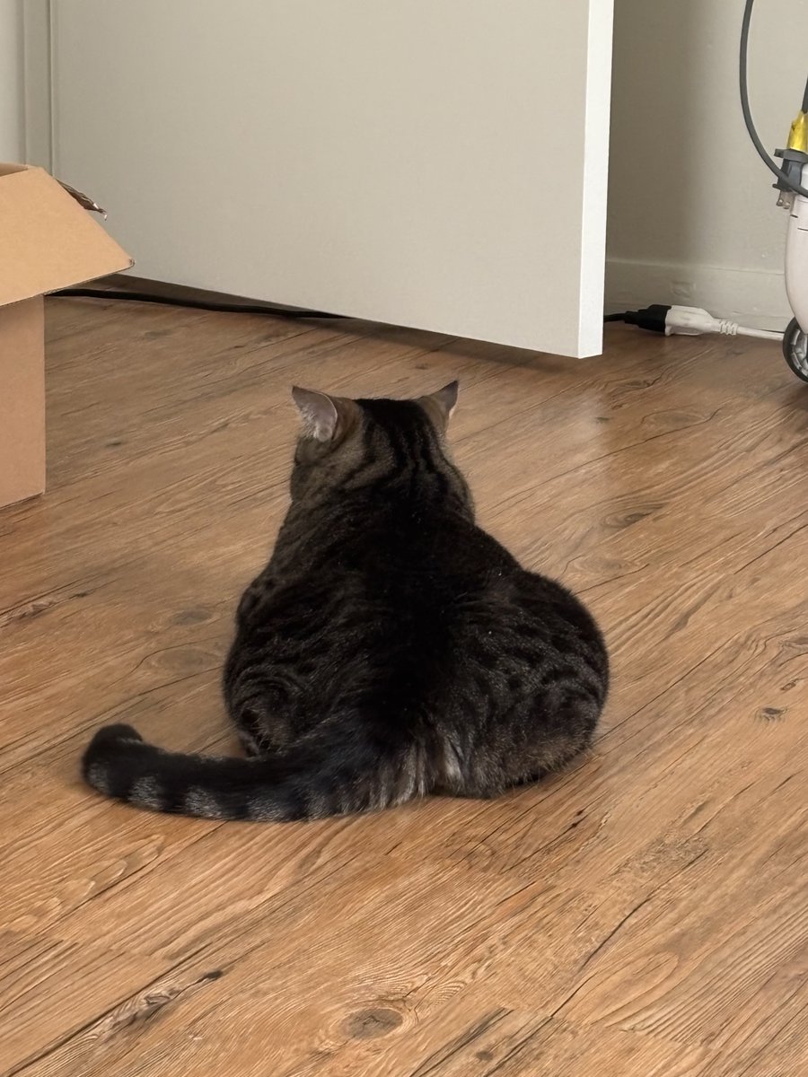groundbeefpet's tweet photo. dudee your but.. https://t.co/M8gDaU0T65