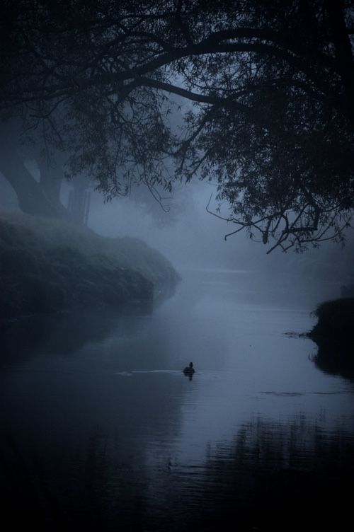 talya9646171863's tweet photo. gloomy night 🧣☁️🦢 https://t.co/TWKTP8GQU0