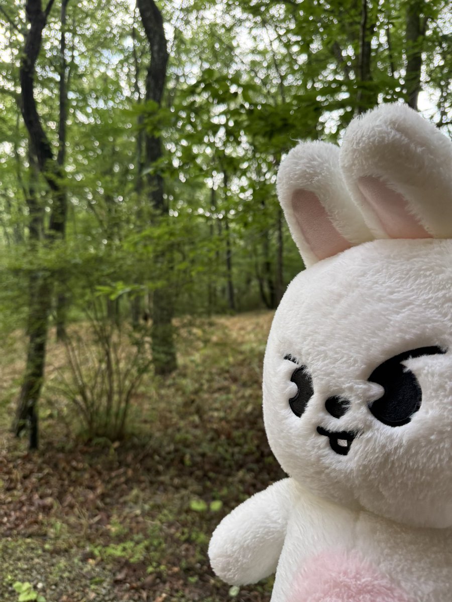 saryuken's tweet photo. りのちゃんの休日

森林浴🌲 https://t.co/v0jHIr7jBn