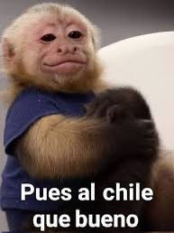 av__aries's tweet photo. @LuisCardenasMx https://t.co/Ka97mbVzhh