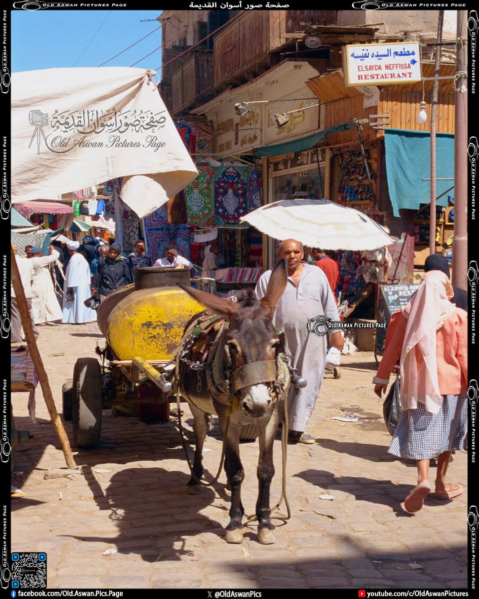 OldAswanPics's tweet photo. #أسوان بجوار مقام السيدة نفيسة
#صور_مرممة #صور_معاد_تلوينها #AI
#Old_Aswan_Pics #Aswan
تابعونا على منصات التواصل
https://t.co/scrNATQrPJ https://t.co/ftR039y4Kv
