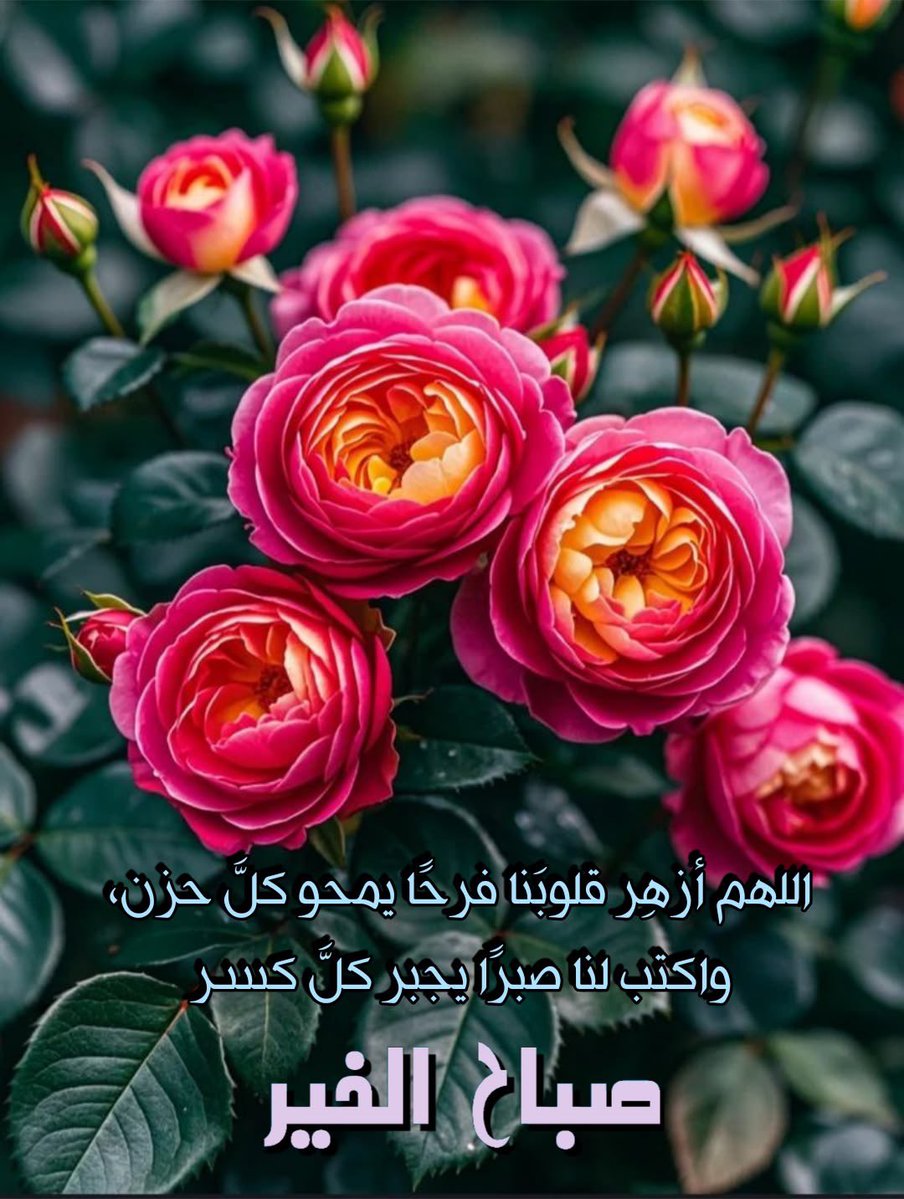 أبو عبدالله🇸🇦 tweet media