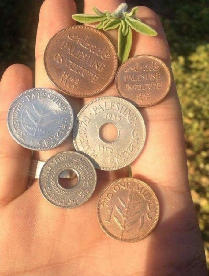 Naila_Ayad's tweet photo. These are older than Israel. https://t.co/dKRfxQKF22