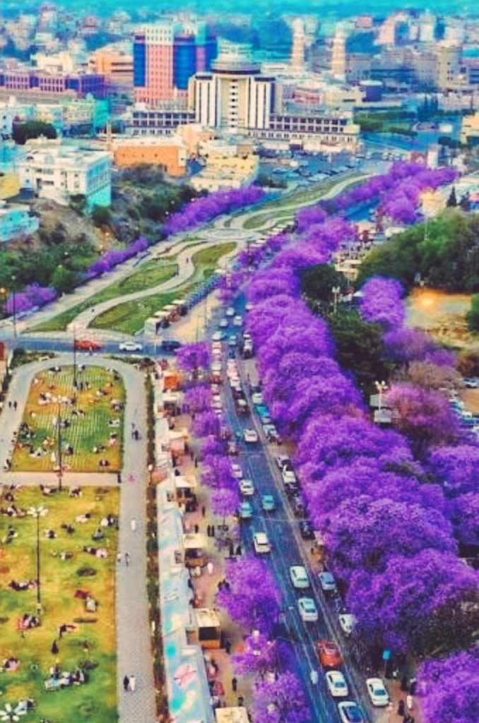Mozaini_Ibrahim's tweet photo. #سياحة_وطني

في جولة سياحية ماتعة أقضيها هذه الأيام في منتزهات جنوب بلادنا الغالية، بدت لي أثناءها تلك اللوحات الرائعة التي تتوشح بقممها الشامخة، ويعانق الضبابُ سفوحها، وتزهو مدرجاتُها الزراعية بالخضرةٍ الآسرة، بينما تروي قراها التراثية صفحاتٍ من التاريخ والأصالة.
تأسرني تلك المشاهد التي تجمع بين جمال الطبيعة وعبق التاريخ وكرم الإنسان.
إنها (الباحة وعسير)، وهما وجهة سياحية تأسر العين وتجتذب زائريها، وتمنح الروح سكينةً ومتعة لا تُنسى، وتدعو إلى تكرار زيارتها؛ بما يعد مفاخر وطنية بحق🇸🇦🤍