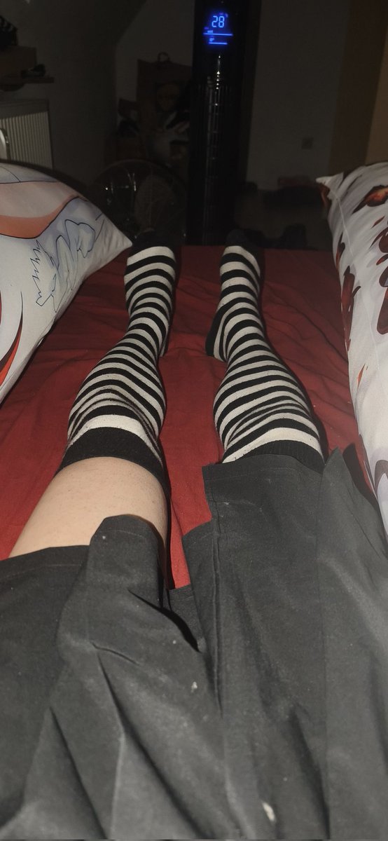 AstolfoCosplayr's tweet photo. Erste Nacht mit meinem Turmventilator ^^ https://t.co/Qhk0bkKrnD