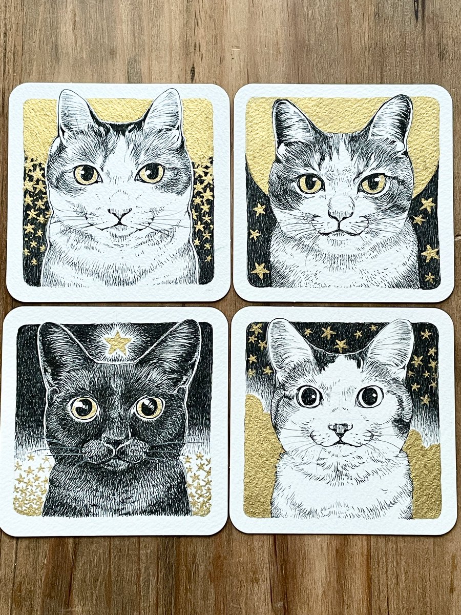 ねこちゃんたち けっこう金色キラキラしてるんだけど写真撮るの難しい