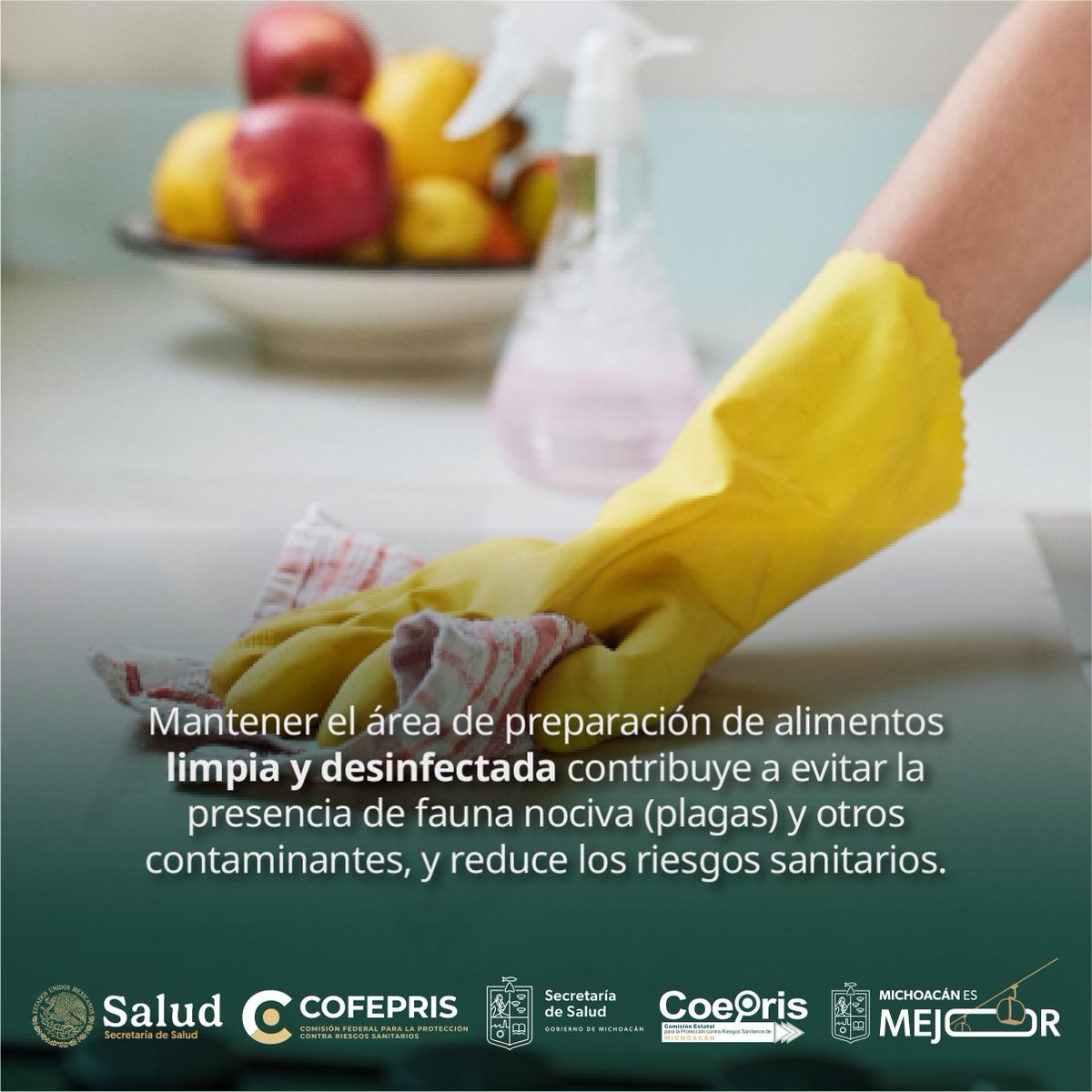 CoeprisM's tweet photo. Reducir los riesgos sanitarios está en tus manos. 📷📷
Eliminar restos de comida, desinfectar superficies y mantener los utensilios en buen estado evita focos de contaminación que pueden provocar enfermedades. 📷📷
Una cocina limpia es una barrera contra los riesgos para la salud https://t.co/MdYYqeqYAh