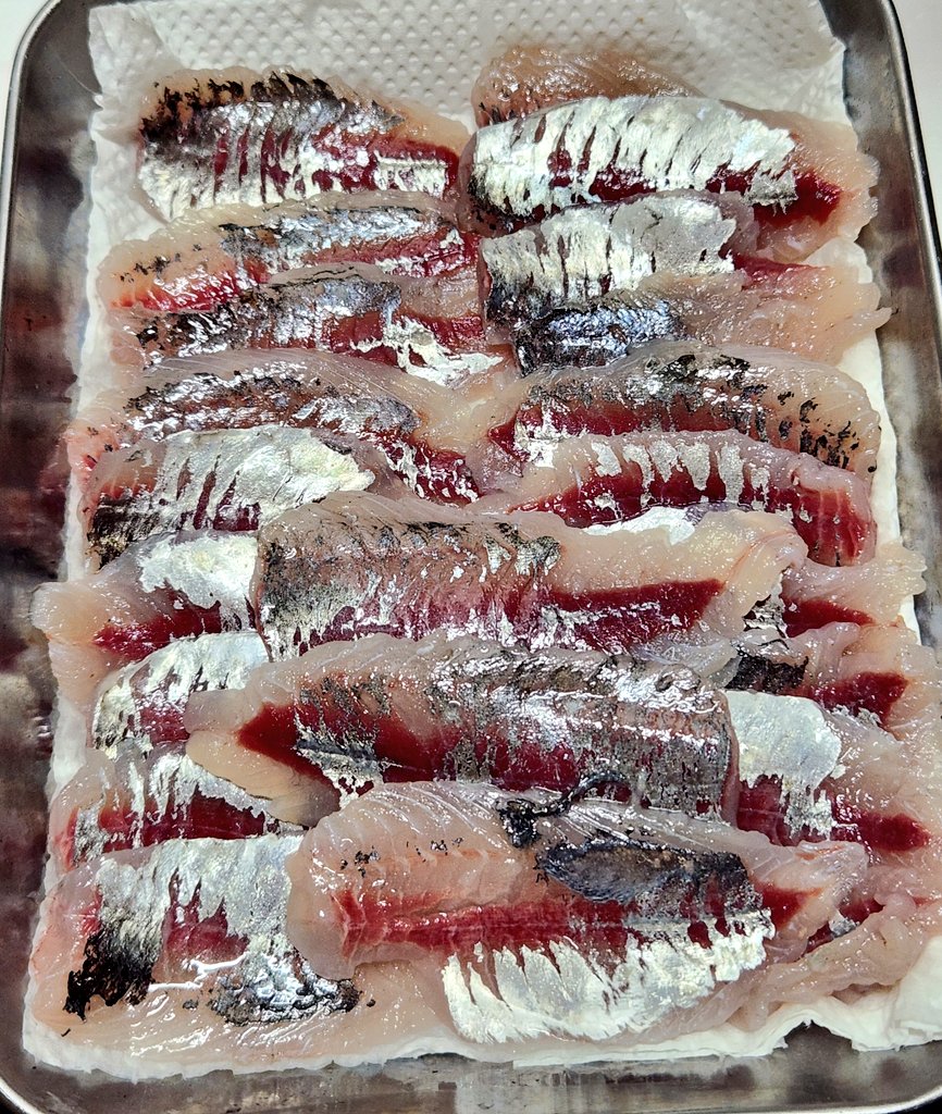 RyuStroke's tweet photo. 最近3日に1回はアジ釣りに行ってる
毎回4匹の壁は越えられなかったのに今回は当たり日🐟 https://t.co/b1mYUVRYKg