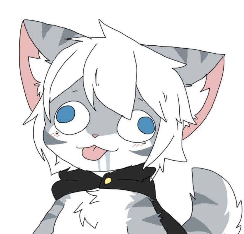 gray_wolfsanu96's tweet photo. ばか https://t.co/tbTmV6sMY2