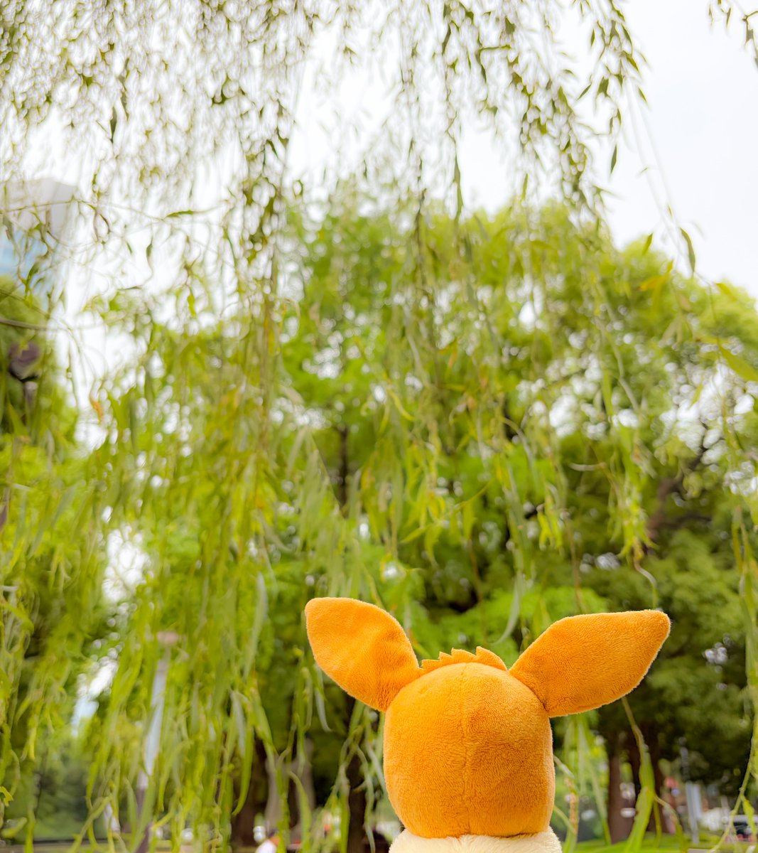 project_eevee's tweet photo. ┏┷┓
┃み┃
┃ん┃
┃な┃
┃が┃
┃　┃
┃楽┃
┃し┃
┃イ┃
┃｜┃
┃ブ┃
┃イ┃
┃な┃
┃毎┃
┃日┃
┃を┃
┃　┃
┃過┃
┃ご┃
┃せ┃
┃ま┃
┃す┃
┃よ┃
┃う┃
┃に┃
┗━💫
#七夕 #イーブイ #短冊 #Eevee https://t.co/DCeANrFZwX