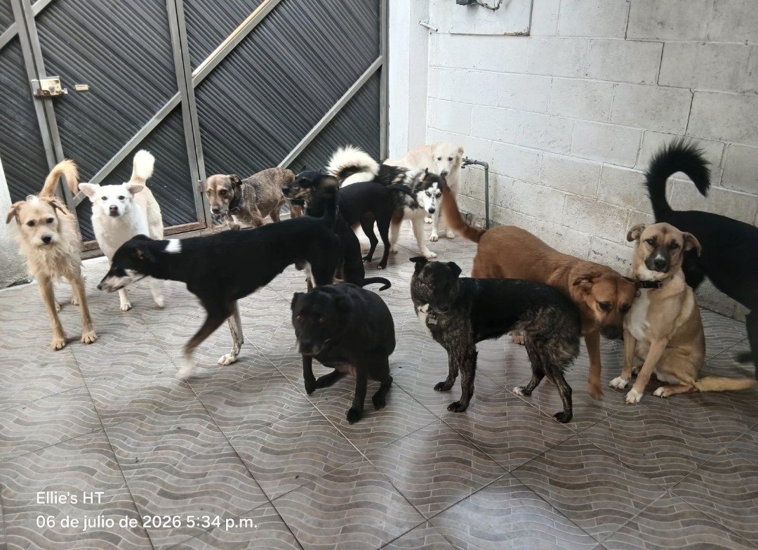 PoderAG_MH tweet picture