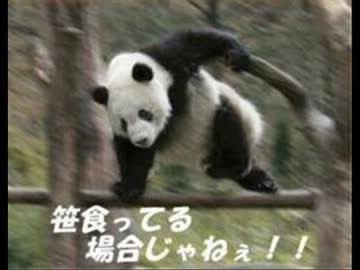 takeama2730's tweet photo. これじゃない？ https://t.co/IHFxENL5qj