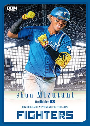 日ハム #53 水谷瞬 推し活バック
