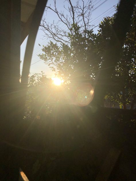 EsaTacha's tweet photo. Taking a selfie in nature 풍경을 즐기는 중 ✨📸 https://t.co/v7qUGIcwZk