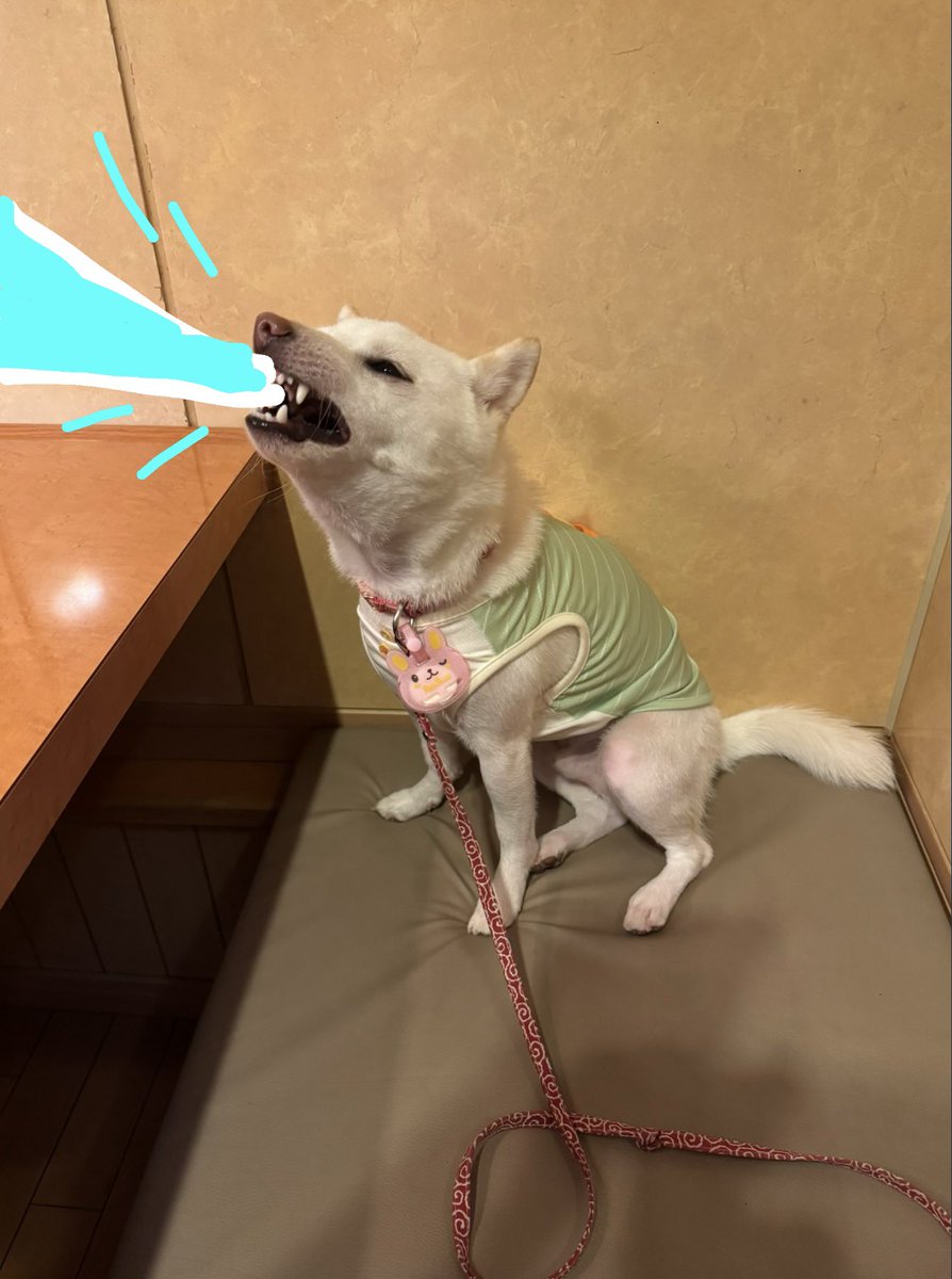 Goreshx's tweet photo. help https://t.co/VCIRx86m5W