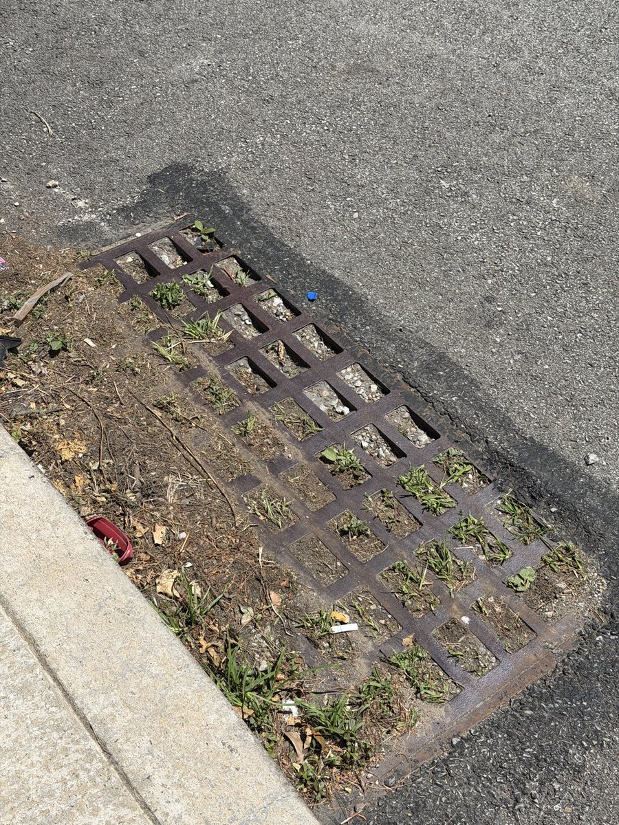 JamisonCombs's tweet photo. @pgh2o 👋🏻 It’s been months and the storm drains at Forward and Murray along with Murray and Morrowfield are still completely clogged and causing roadway flooding each time it rains. @Pittsburgh can we get these cleaned this week please? https://t.co/IrXP6uttvW
