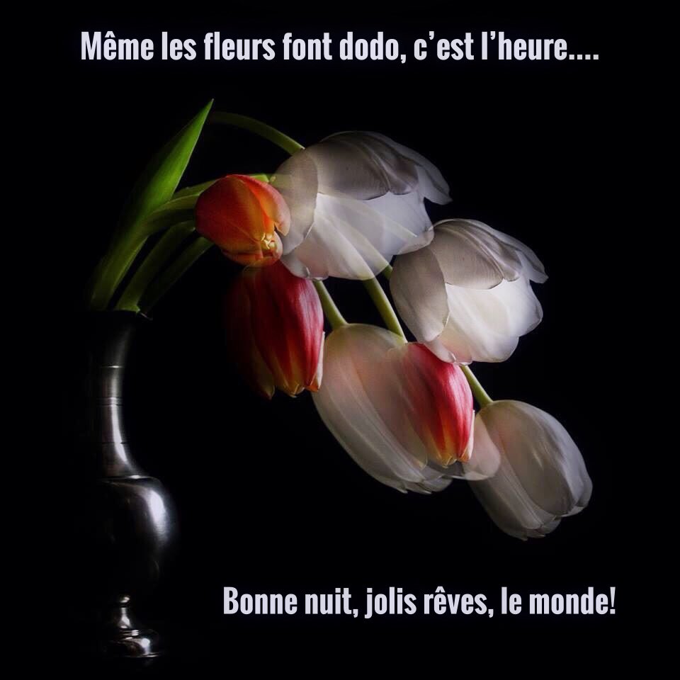 🌸Marycolombine🌸 tweet media