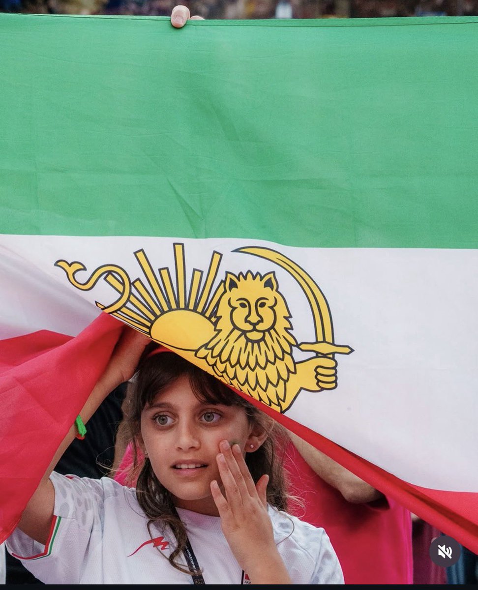 pink4iran tweet picture