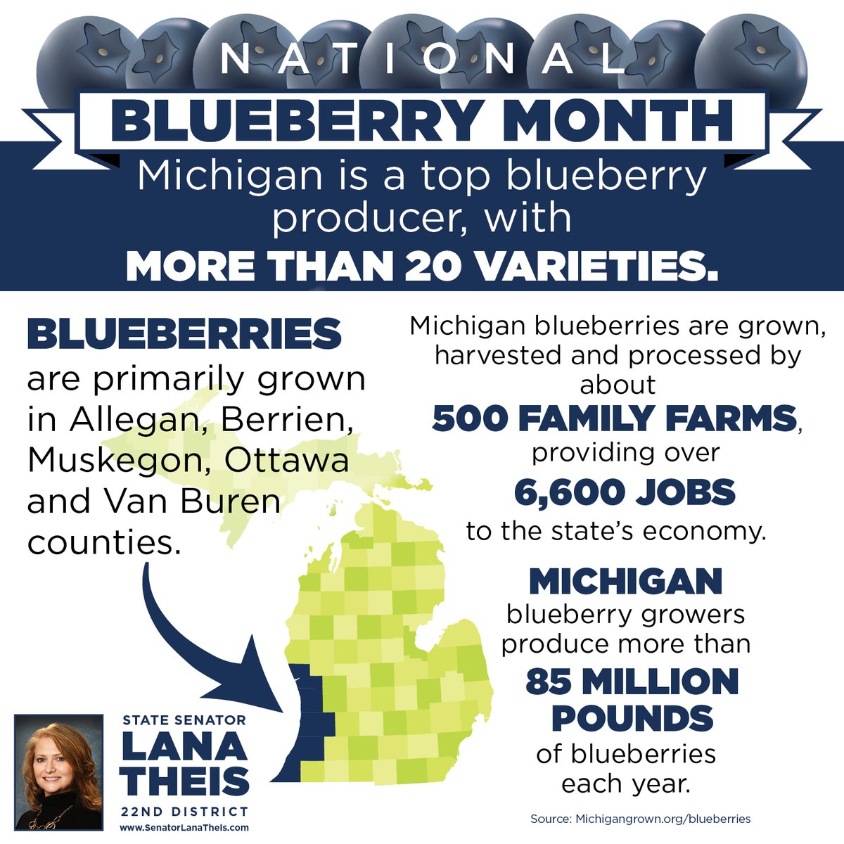 SenLTheis's tweet photo. July is National Blueberry Month! 

Did you know Michigan is one of the most prolific suppliers of blueberries in the world?

#NationalBlueberryMonth #MichiganBlueberries #Blueberries #PureMichigan #MIAg #EatLocal https://t.co/CIe4rEmrT7