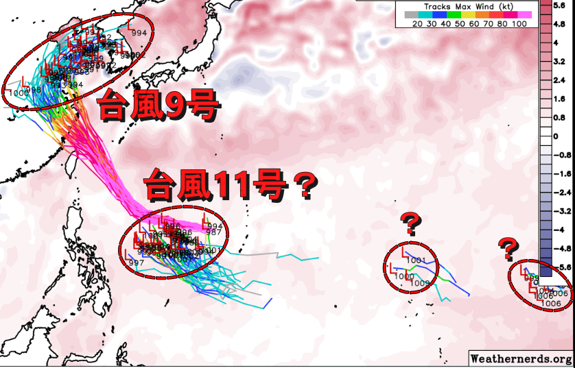 STY1330's tweet photo. Google Deep MindのAI気象モデル（FNV3）で14日15時のアンサンブルメンバーの状態を見たもの。

黄海とその周辺にある集団が台風9号によるものでこの時にはすでに台風では無くなってる可能性も高い。

フィリピンとマリアナ諸島の間にあるのは次に台風となるかもしれない集団。

さらにマーシャル諸島付近やもっと東海上にも何かがまとまり始めている。

※weathernerdsのHPから出典し加工